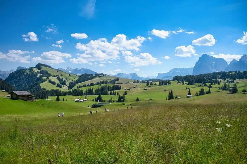 Sunlit green meadows and blue sky at Alpe di Siusi